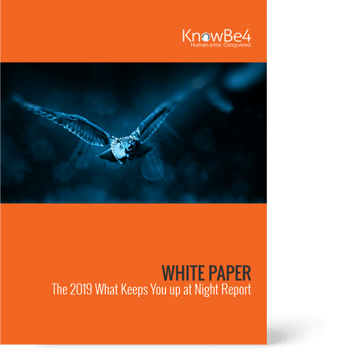 Whitepaper Security Awareness Training